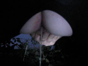 Outdoor Piss