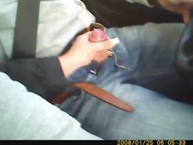 Vorschaubild vom Privatporno mit dem Titel "Blowjob on the road" von Deine-Chefin