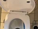 toilet piss