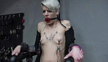 Kleine Tittis unter Strom