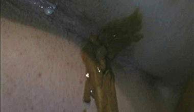Schmerzhaftes Diareeah