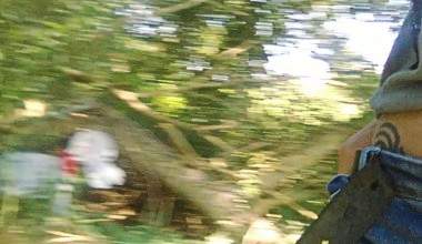 Im Yachtclub auf die Wiese GEPISST !