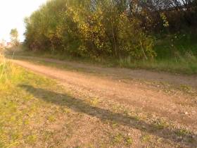 never ending Pissstory