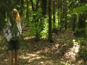 2 Part of the forest