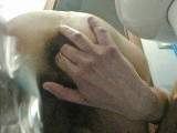 Two fingers, a 2-stage plug and a big plug in my ass – gape with four fingers