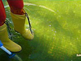 Yellow rubber boots and red rubber leggings