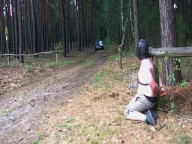 Trampling in the Forest