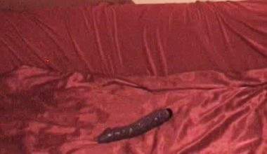 Fotze Hardcore bearb. mit 36x6cm Dildo