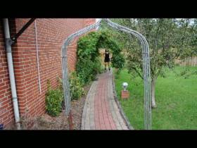 Loss Ns peed on skates on rollerblades