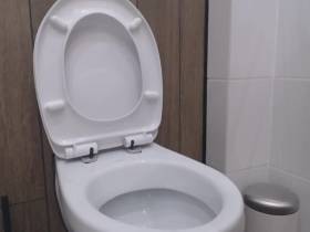 Huge diarrhea on toilet