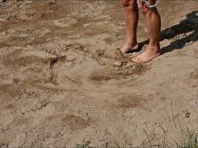 Im Sand gebadet und gepinkelt