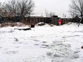 Olga poops in the snow, sit down