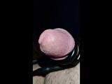 E-stimulation with Precum and Small Cock