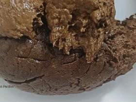  Verehrt meinen riesigen Scheißhaufen