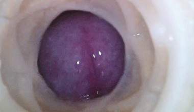 SO GEIL WAR DIE DOMREP