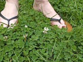 feet in the grass