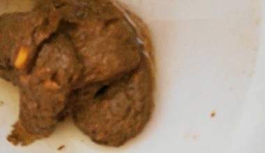 ZUVIEL KACKEN fürs BOOTS KLO