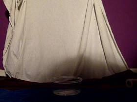 Spray shit in the can