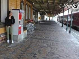 pissed in the middle of the station! Thrill!