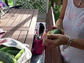 Tight cucumber in the garden