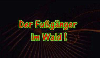 Der Fußgänger  im Wald !