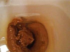 Now the AA has to go through the SMALL HOLE, motorhome toilet