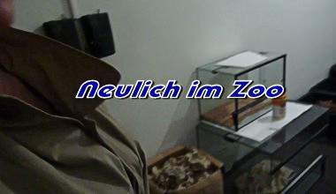 neulich im Zoo