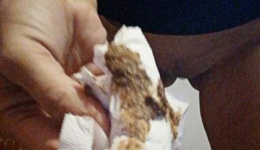 Ins Chinesen Restaurant Klo geschissen