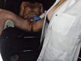 Needling straight through your balls!