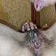 Masturbating and licking a hairy pussy