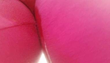 Öffentliche nasse Yogapants