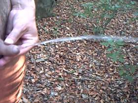 Vorschaubild vom Privatporno mit dem Titel "Pinkeln im Wald" von GeilerHengst72