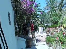 2 Milffötzchen peeing on flowers