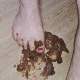 Crushing the shit sausage with your feet