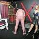 Trapped in the punishment box! How many strokes do you have to take?