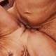 My seven horny fuck cocks