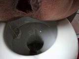 Prolapse games while pooping - no sound