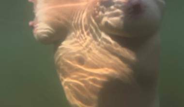 Unterwasser Titten im Baggersee