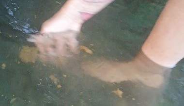 IN DIE MOSEL geschissen, Brei Haufenalarm