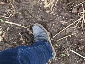 Dirty boots in the dung heap