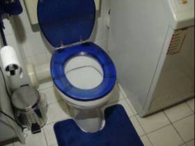 Toilet shit