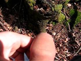 Im Wald auf einen Baumstumpf gepisst