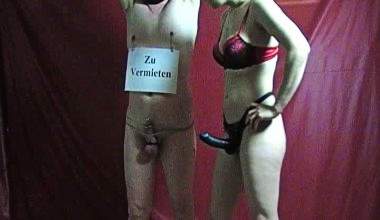Das Mietobjekt