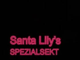 Santa Lily 's Spezialsekt