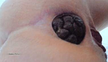 My Toilet Slave Forever