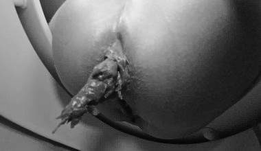 viel Scheiße und Pisse landet im Klo