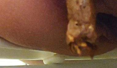 auf einem öffentlichen Klo kacken