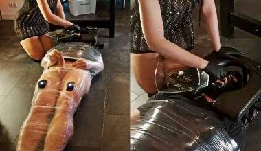 Riesige Scheißwurst