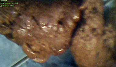 Lange Scheiße für Abendessen