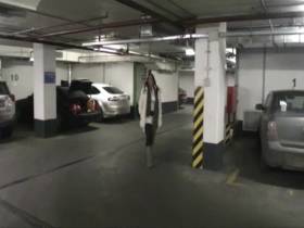 Vorschaubild vom Privatporno mit dem Titel "In der Tiefgarage abgepisst" von Busen-Maus